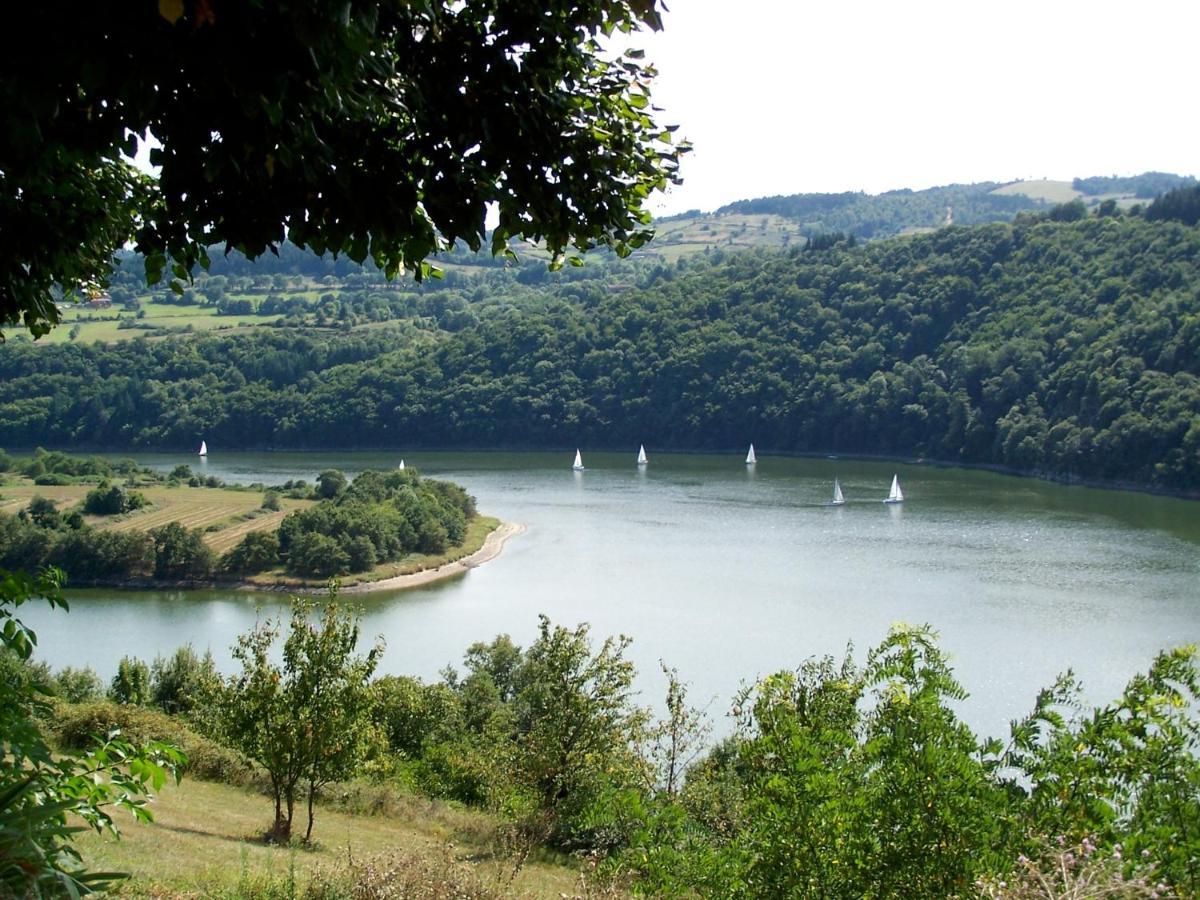 O Fil De L'Eau - Gite En Bord De Lac Saint-Jean-Saint-Maurice-sur-Loire Dış mekan fotoğraf