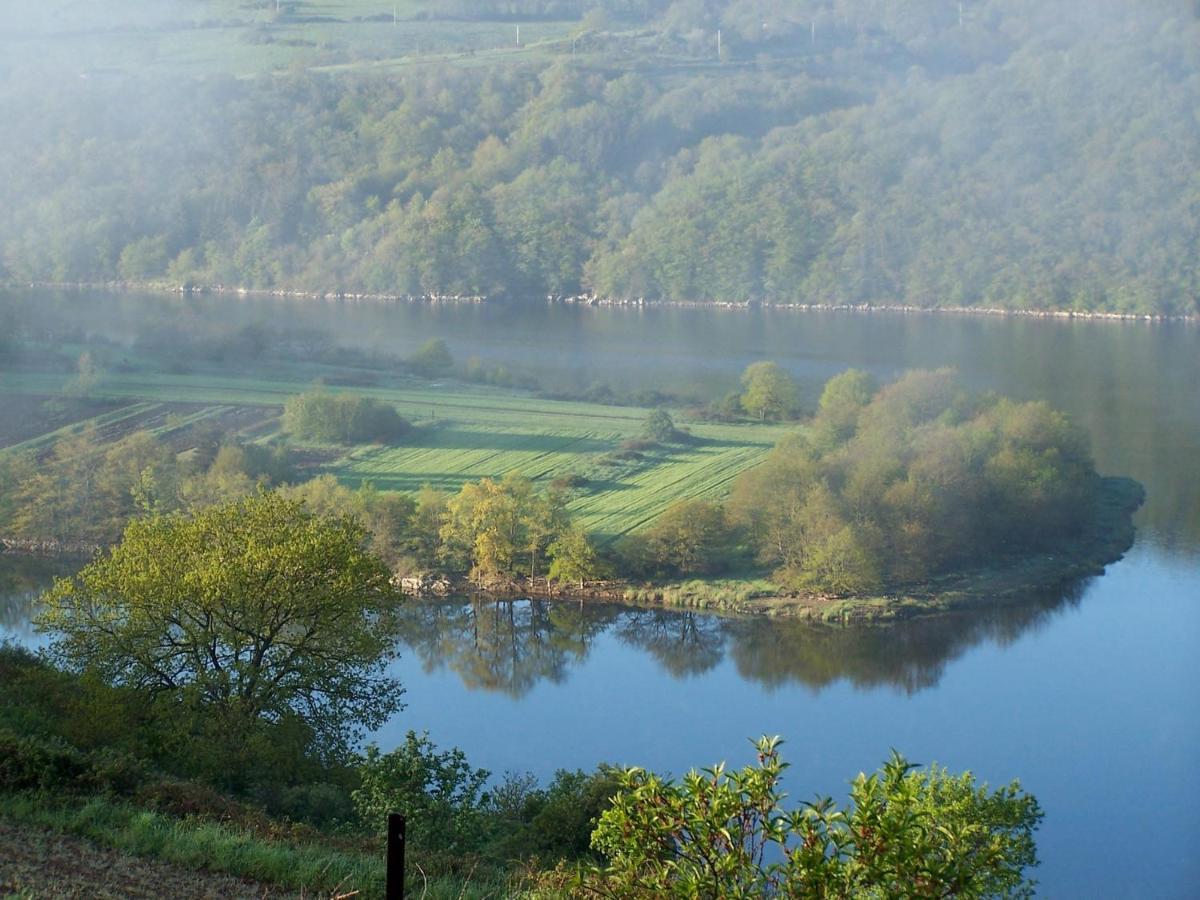 O Fil De L'Eau - Gite En Bord De Lac Saint-Jean-Saint-Maurice-sur-Loire Dış mekan fotoğraf