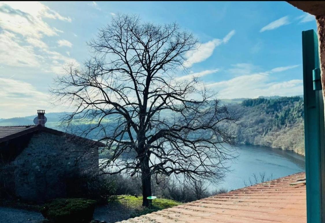 O Fil De L'Eau - Gite En Bord De Lac Saint-Jean-Saint-Maurice-sur-Loire Dış mekan fotoğraf